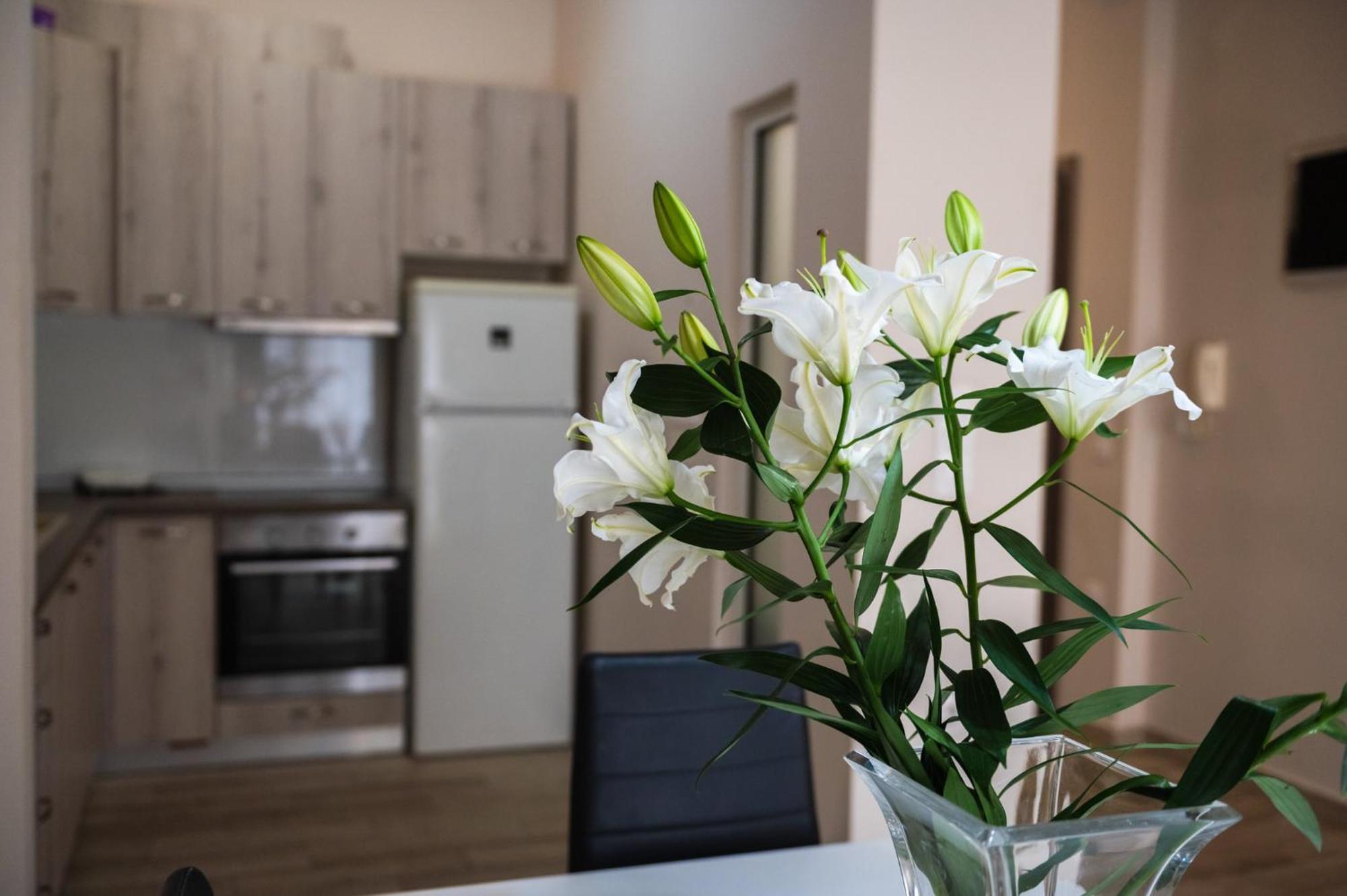 Central Luxurious Suite Near Lighthouse أليكسانثيربوليس المظهر الخارجي الصورة